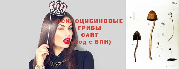 соль курить ск Аркадак