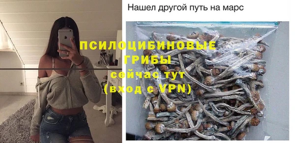 меф Арсеньев