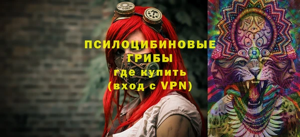дурь Алексин