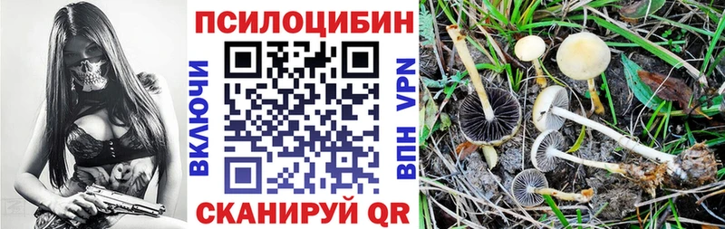 Псилоцибиновые грибы мицелий ОМГ ОМГ как зайти Петухово как найти закладки